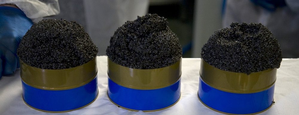Caviar en Hospes Hoteles